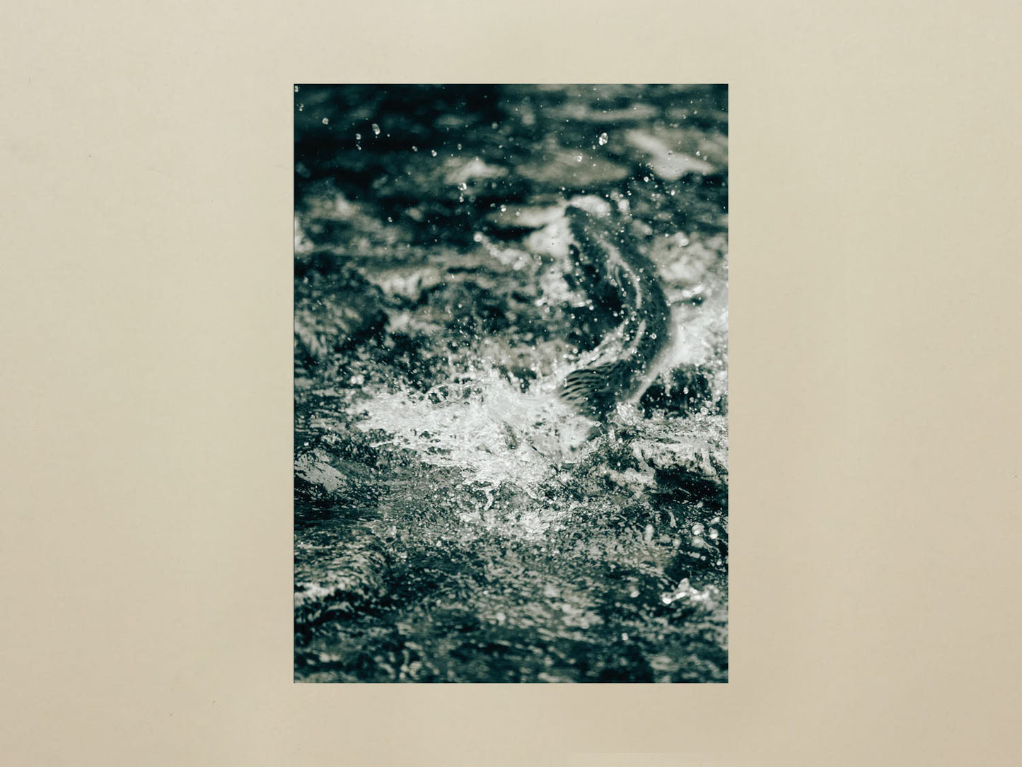 Bruno Augsburger, Gone Fishing