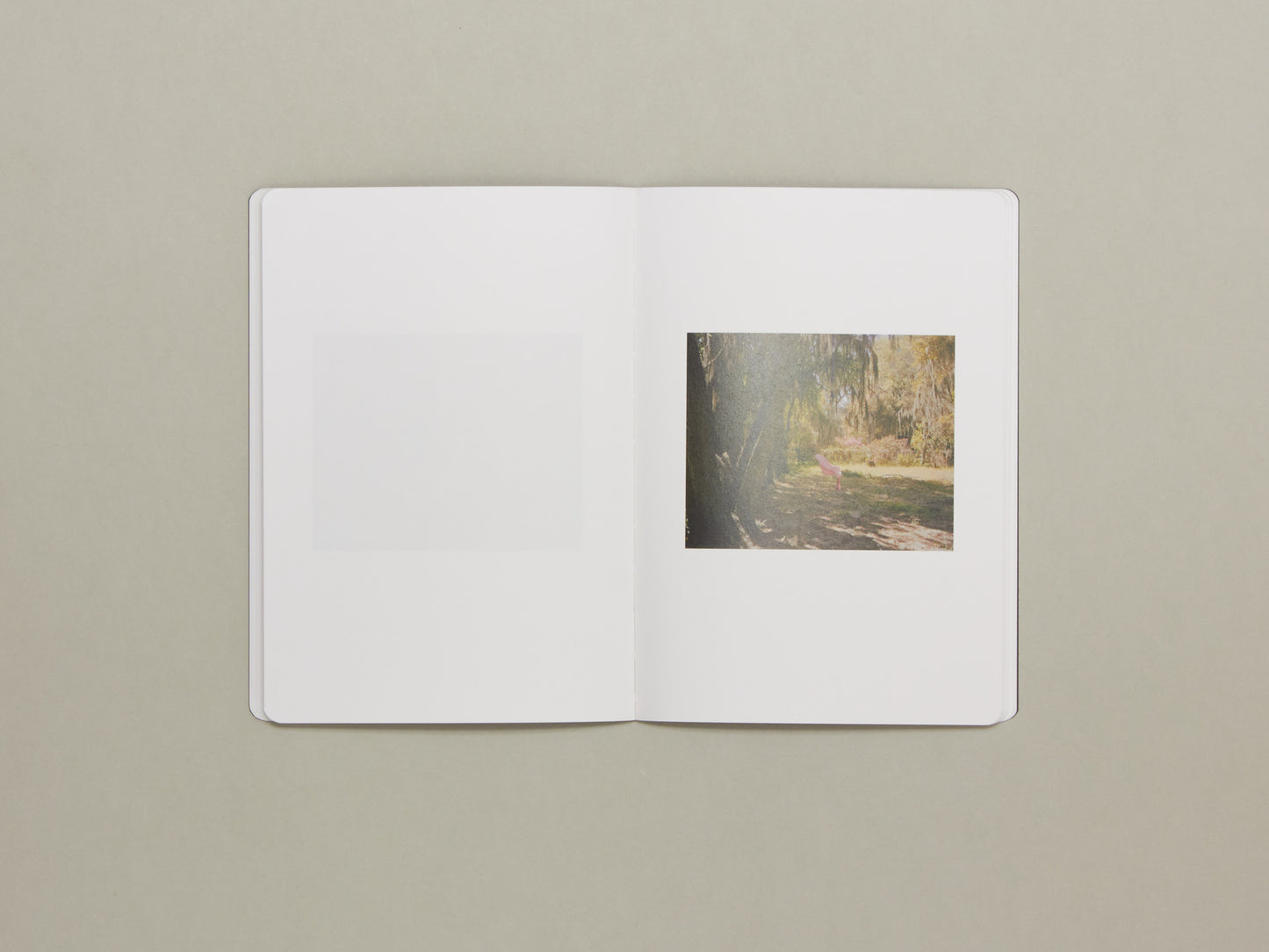 Pascal Amoyel, Not All