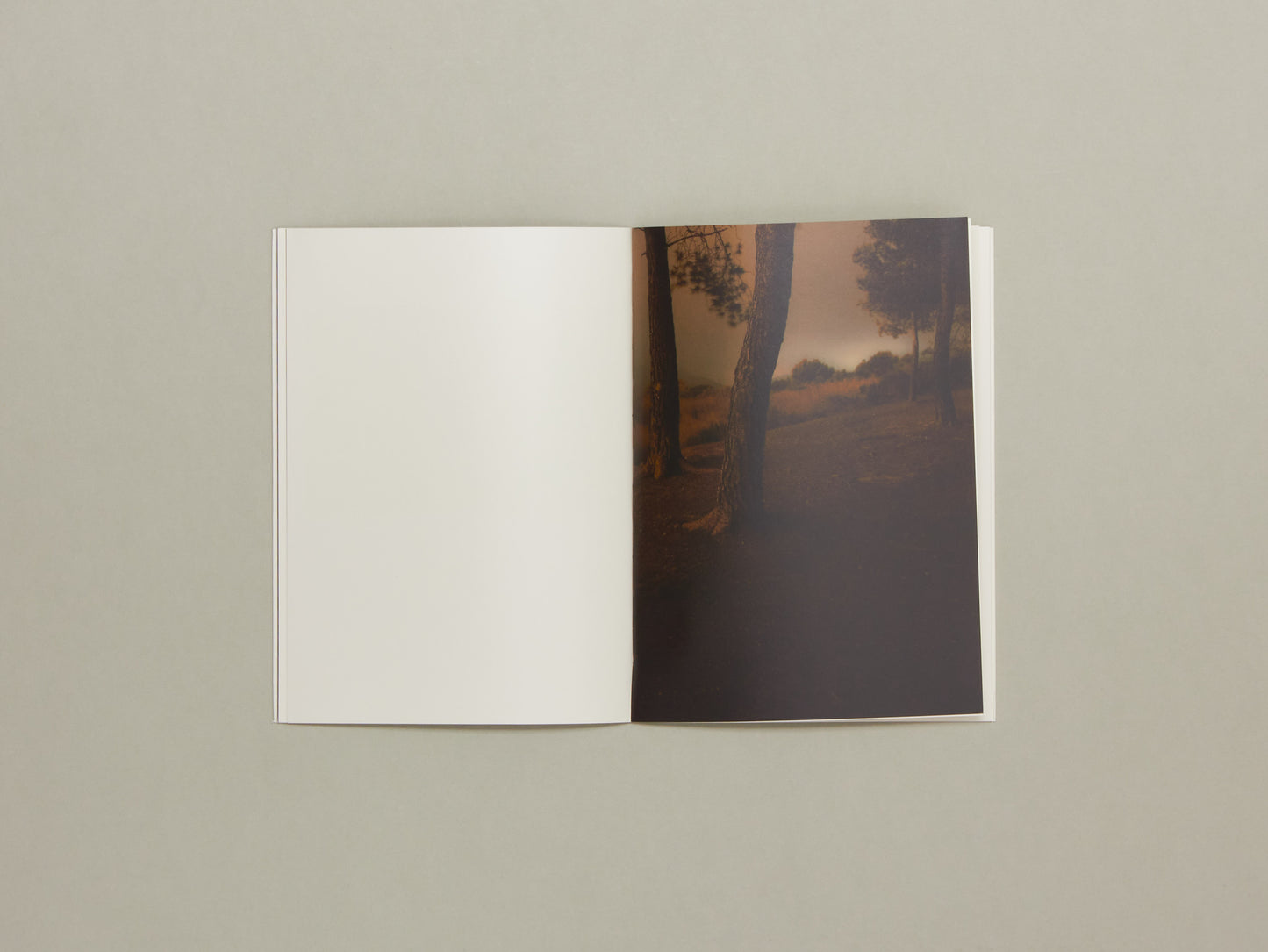 Miquel Llonch, In the fields of gold