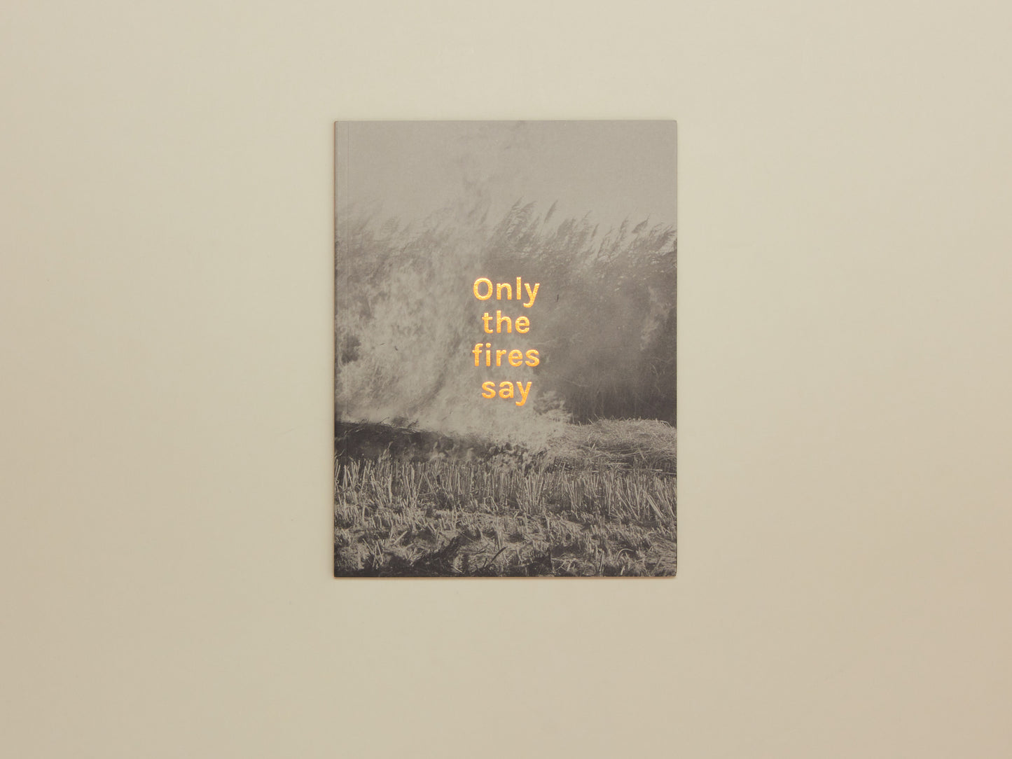 Alan Eglinton, Only The Fires Say