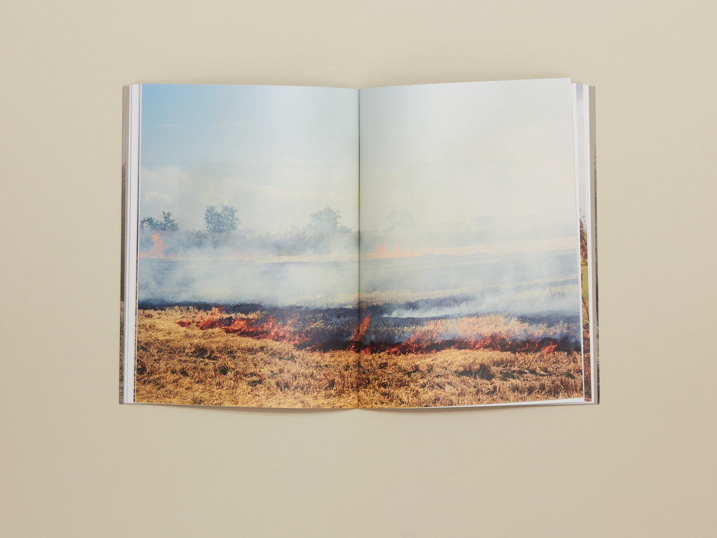 Alan Eglinton, Only The Fires Say