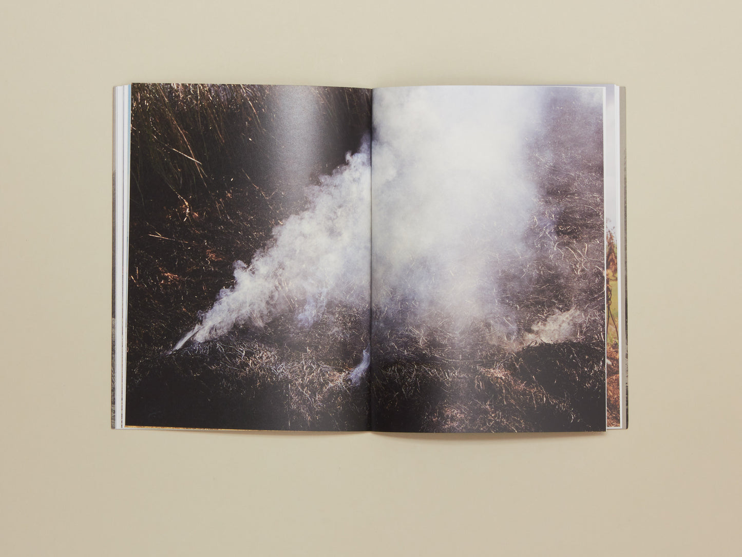 Alan Eglinton, Only The Fires Say