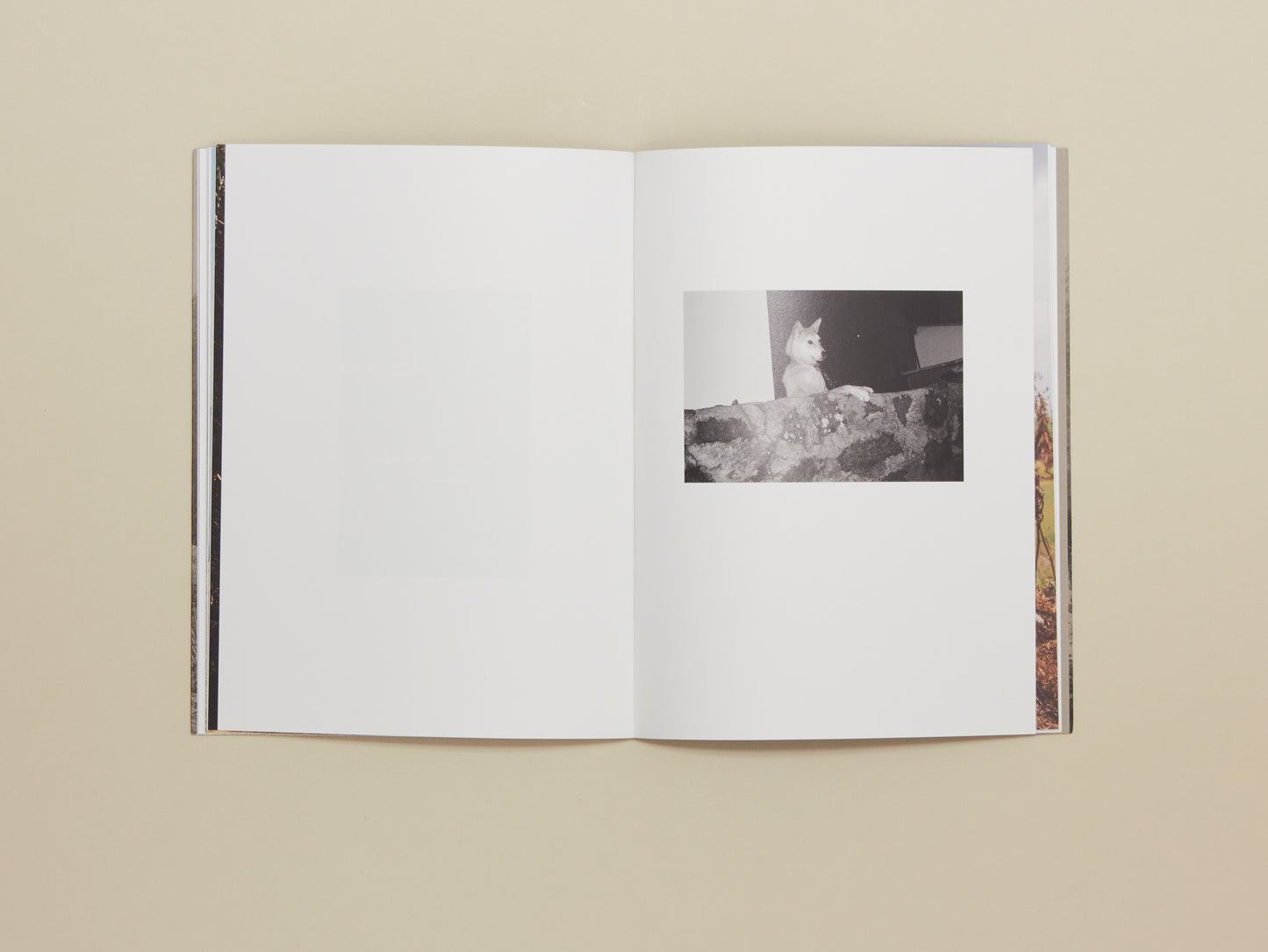 Alan Eglinton, Only The Fires Say