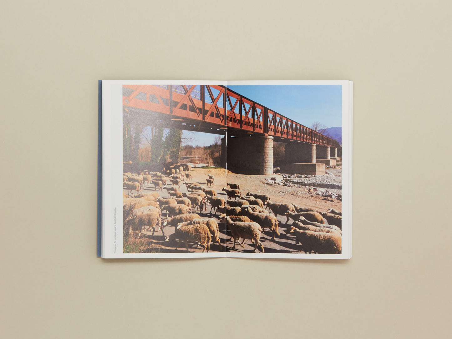 Geoffroy Mathieu, Rasclose