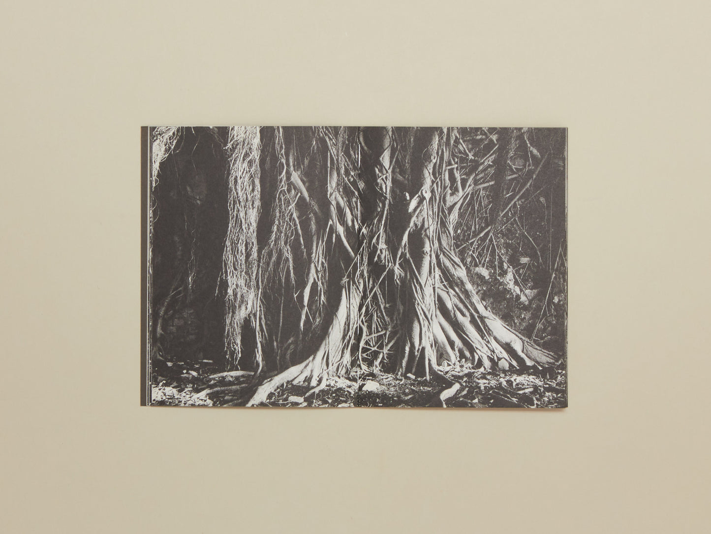 Laurent Chardon, Rester