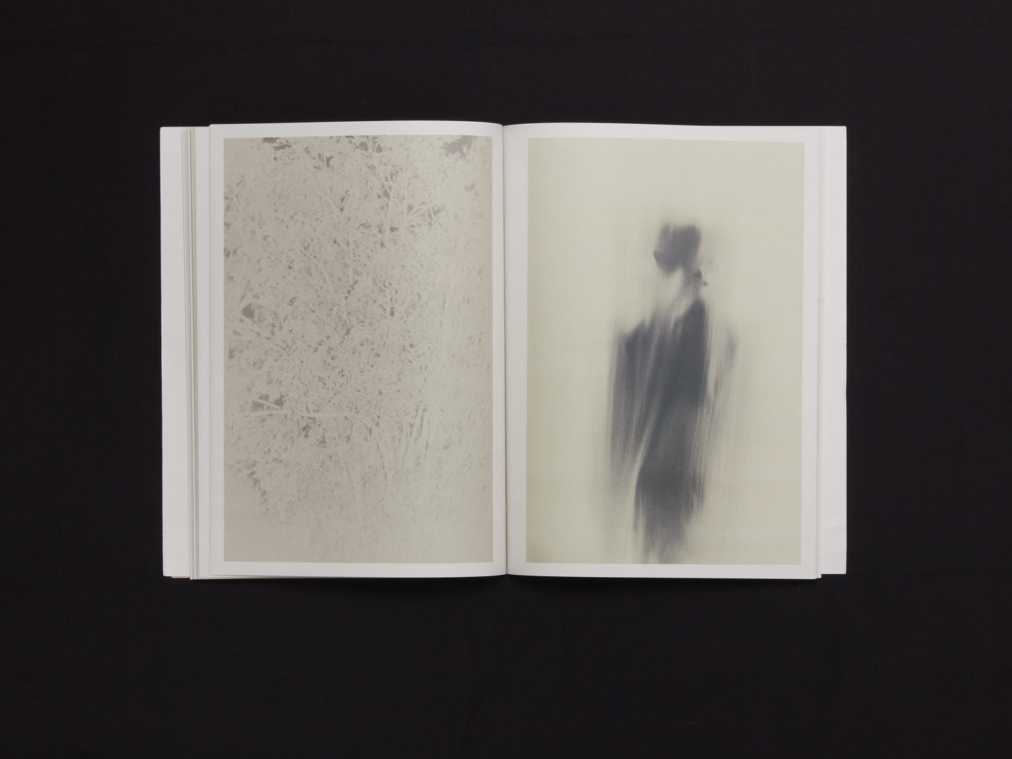 Ola Rindal, Stains & Ashes