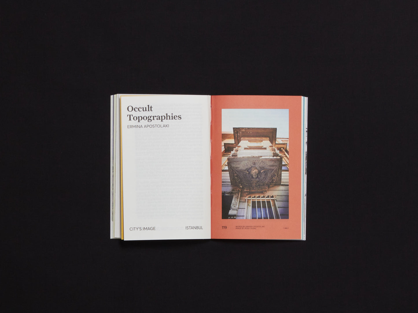 Desired Landscapes, Issue 08