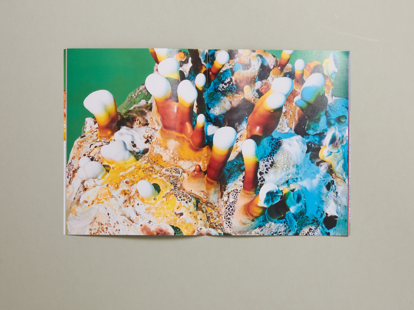 Phyllis Ma, Mushrooms & Friends 4