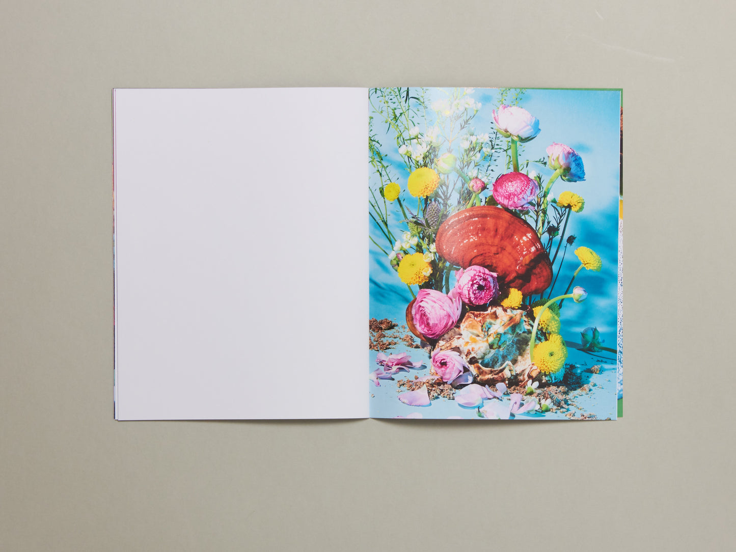 Phyllis Ma, Mushrooms & Friends 4