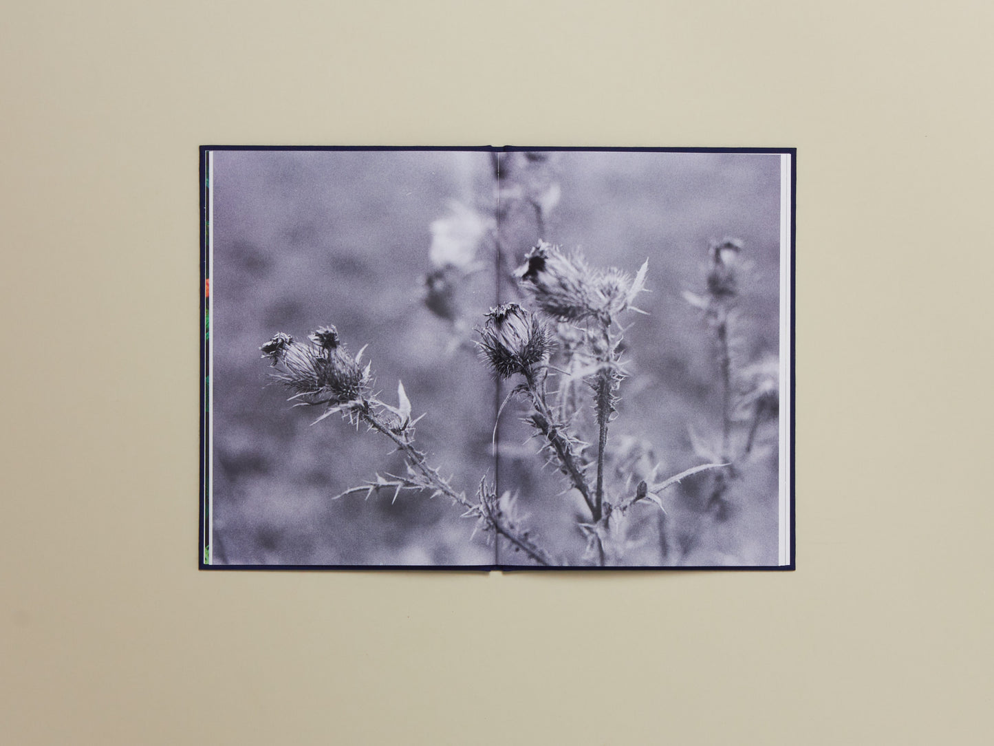 Seed Readers, Nature Poems