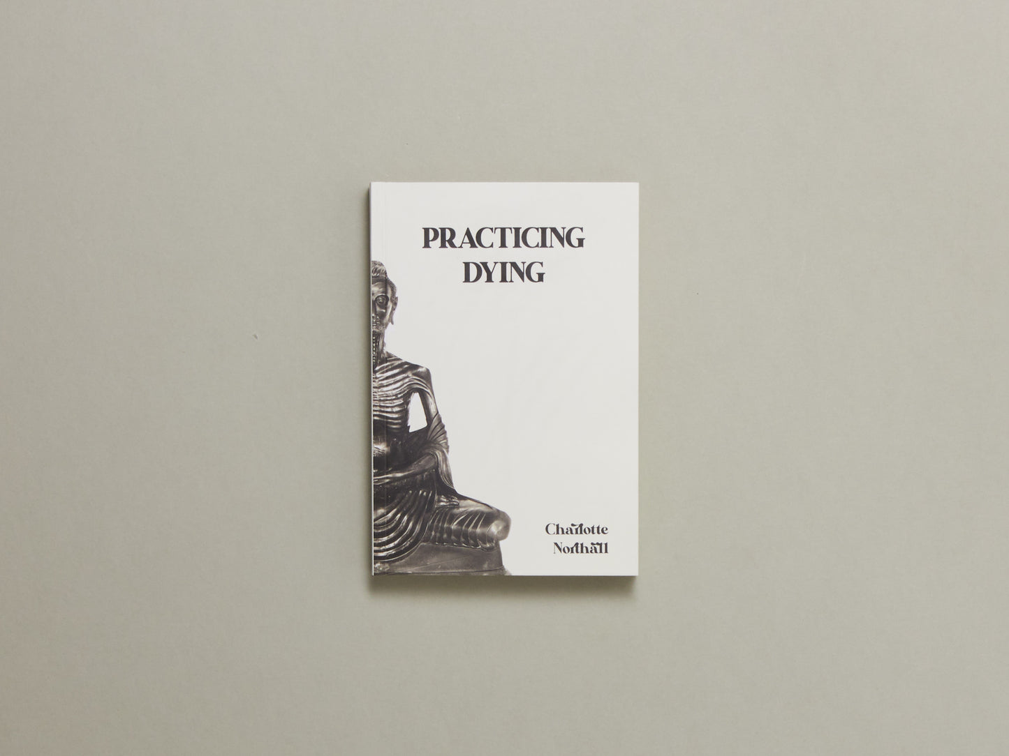 Charlotte Northall, Practicing Dying