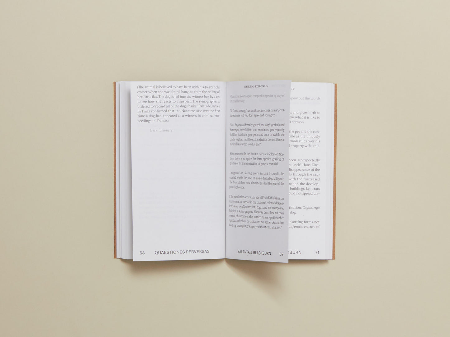 Beatriz E. Balanta & Mary Walling Blackburn, Quaestiones Perversas