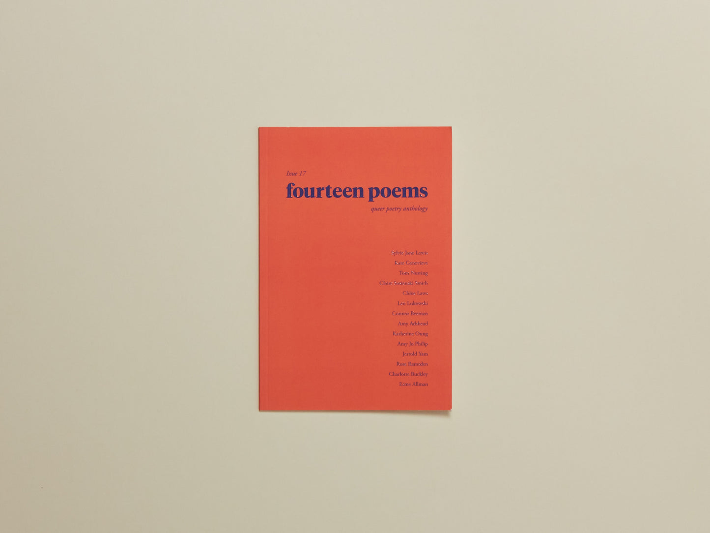 Fourteen Poems Issue 17