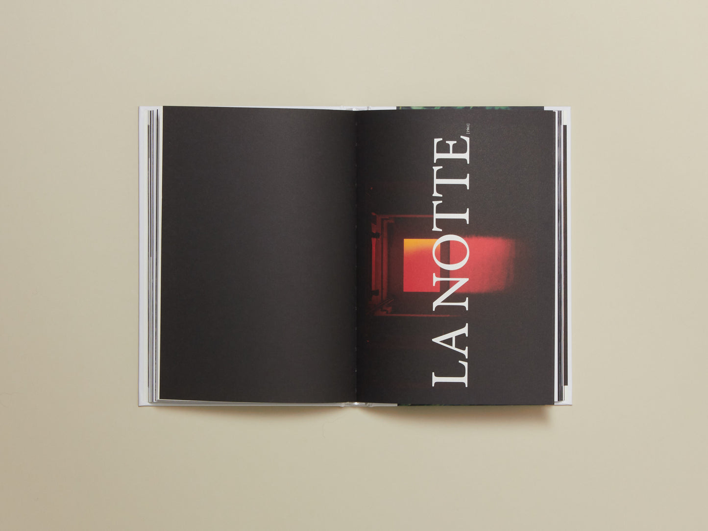 Doesn't Exist Issue 3: Michelangelo Antonioni