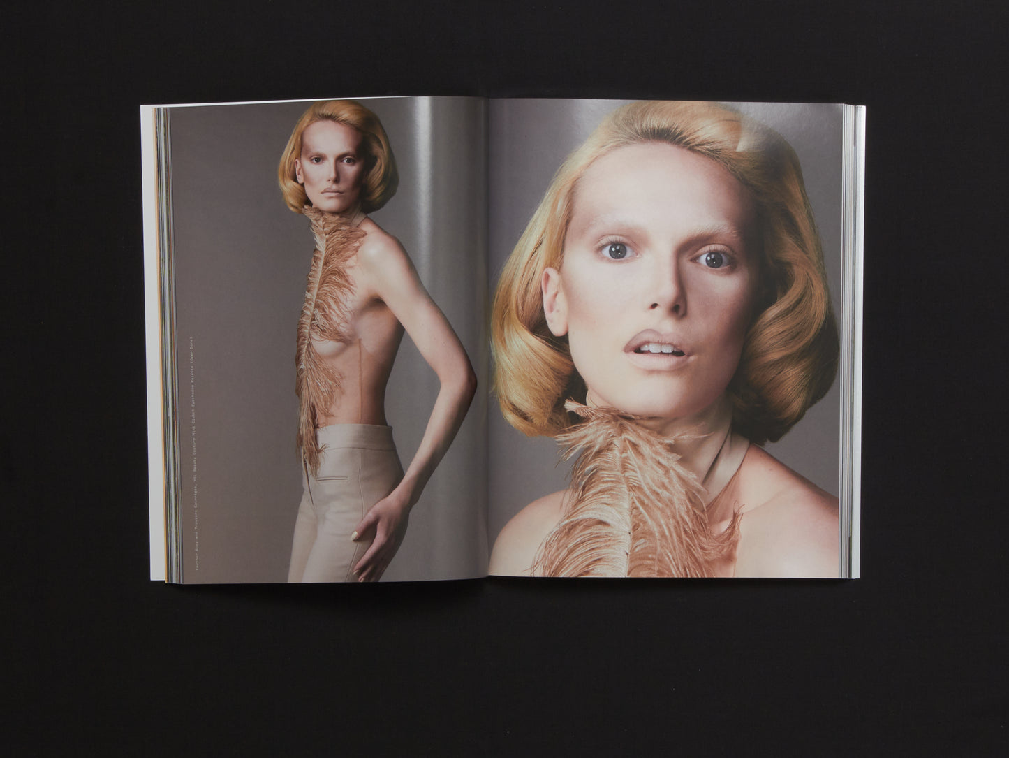 BEAUTY PAPERS HOLLYWOOD - 10TH YEAR ANNIVERSARY