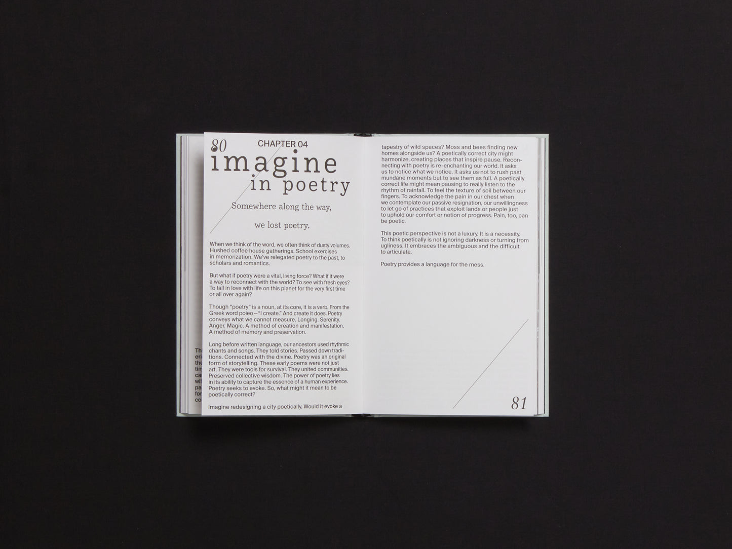 Imagine - Embracing Chaos and Possibility in a Planetary Emergency
