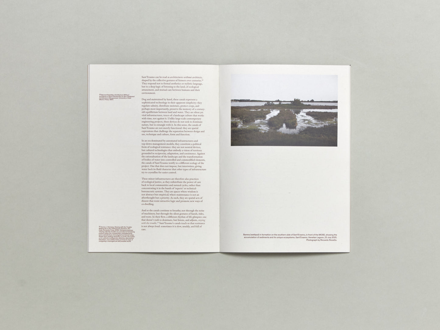 Folly Journal Issue 2: Cultivation