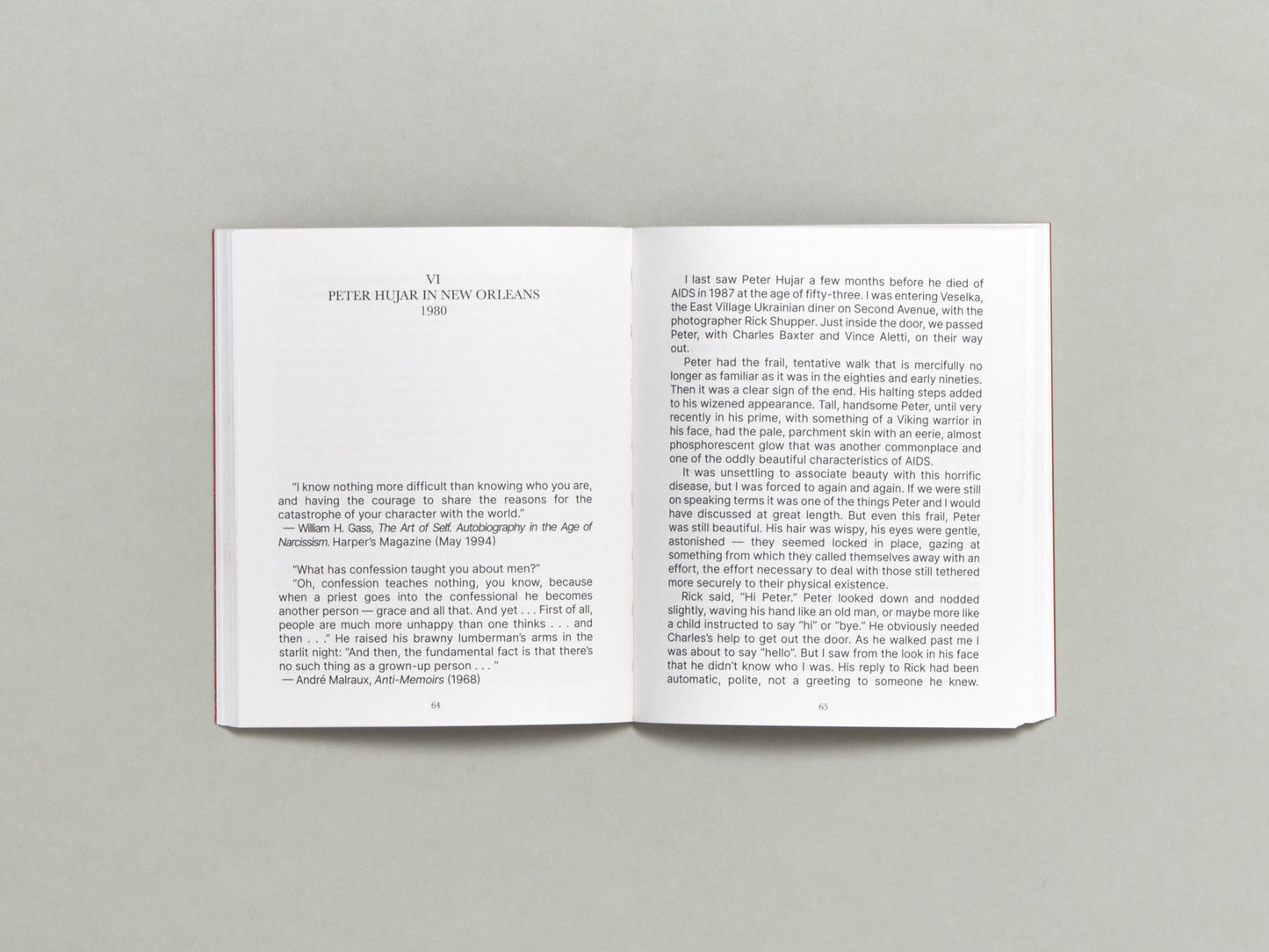 Steve Turtell, Portraits and Places