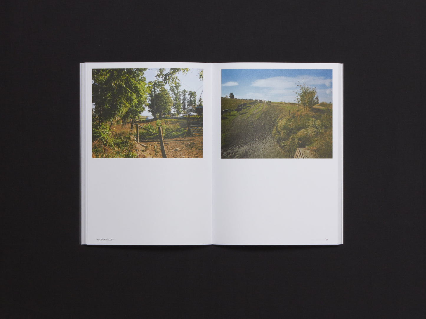 Hotshoe Issue 214: Stephen Shore