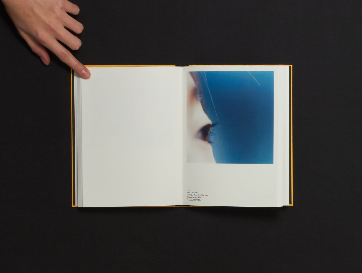 Cécile Poimboeuf-Koizumi & Stephen Ellcock, Clin d'œil