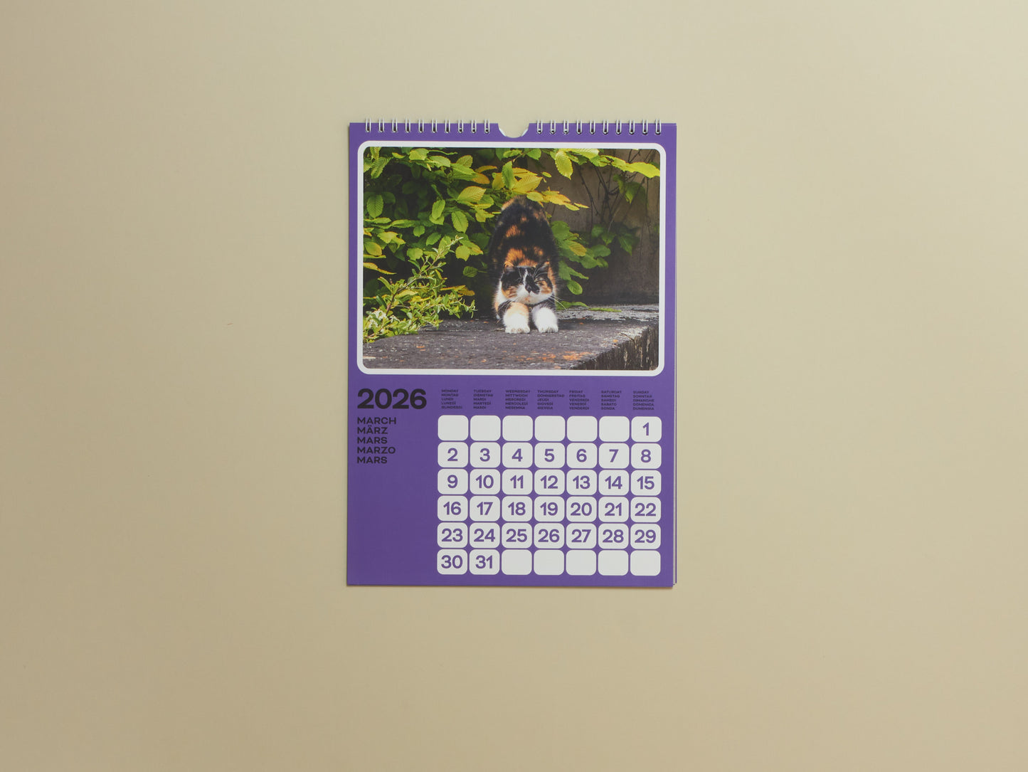 Poney & Phyllis Ma, Cats of the Alps: 2026 Catlendar