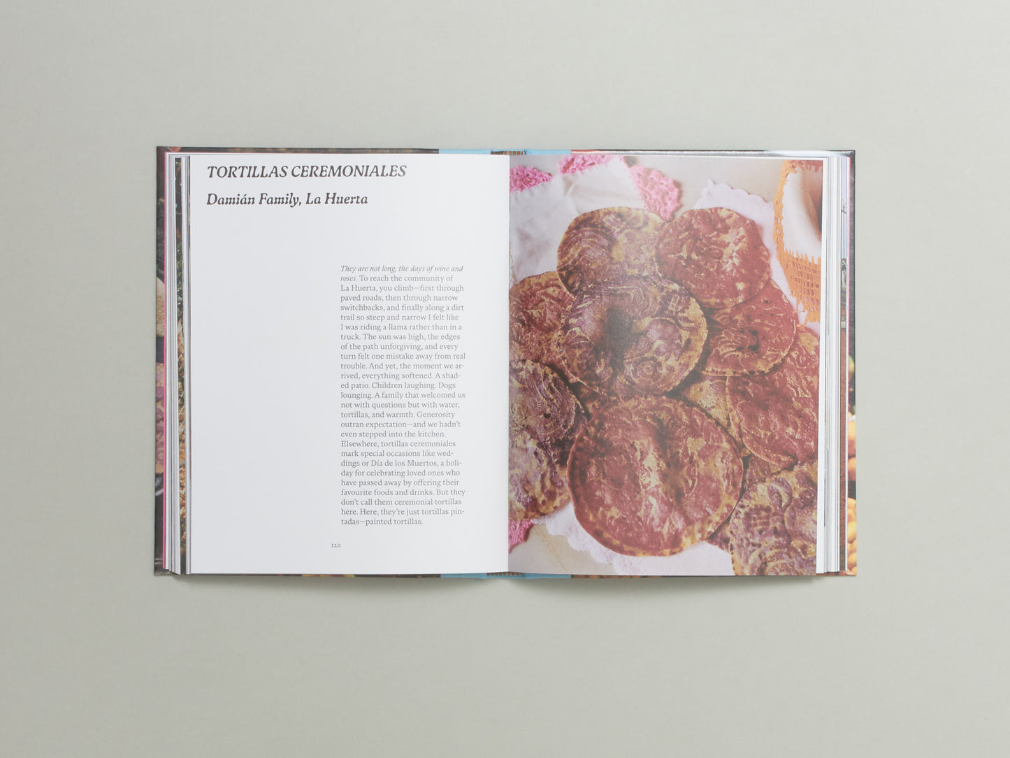 EL BAJÍO: Recipes & Wanderings Through Mexico's Heartland