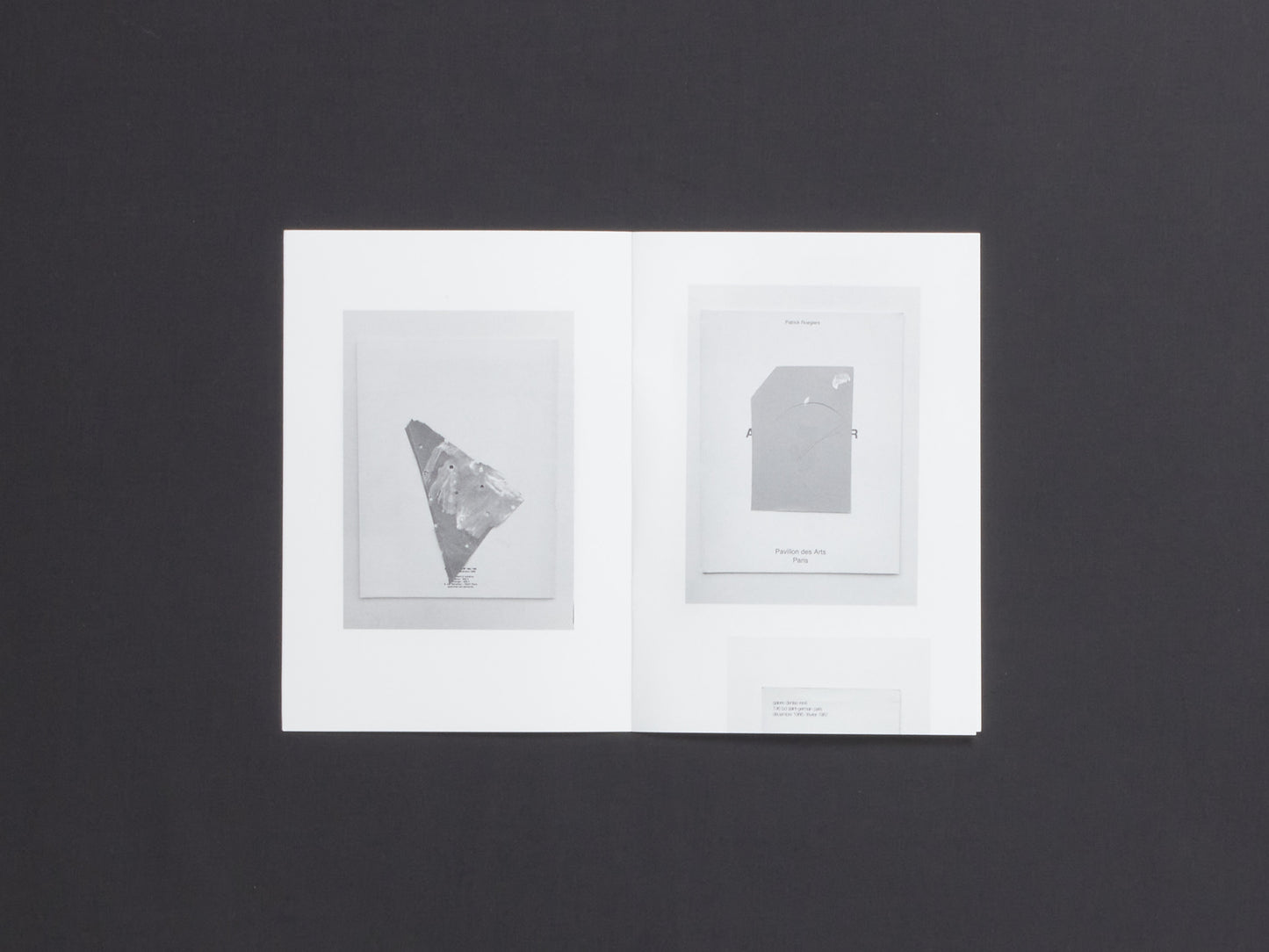 Rosemarie Auberson, N° 1 : Inhalt