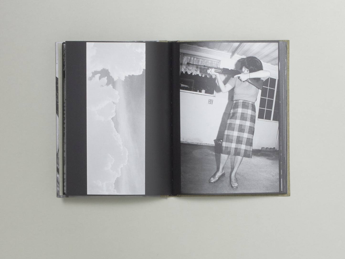 Swan Moon, Swan Moon's Swan Moon