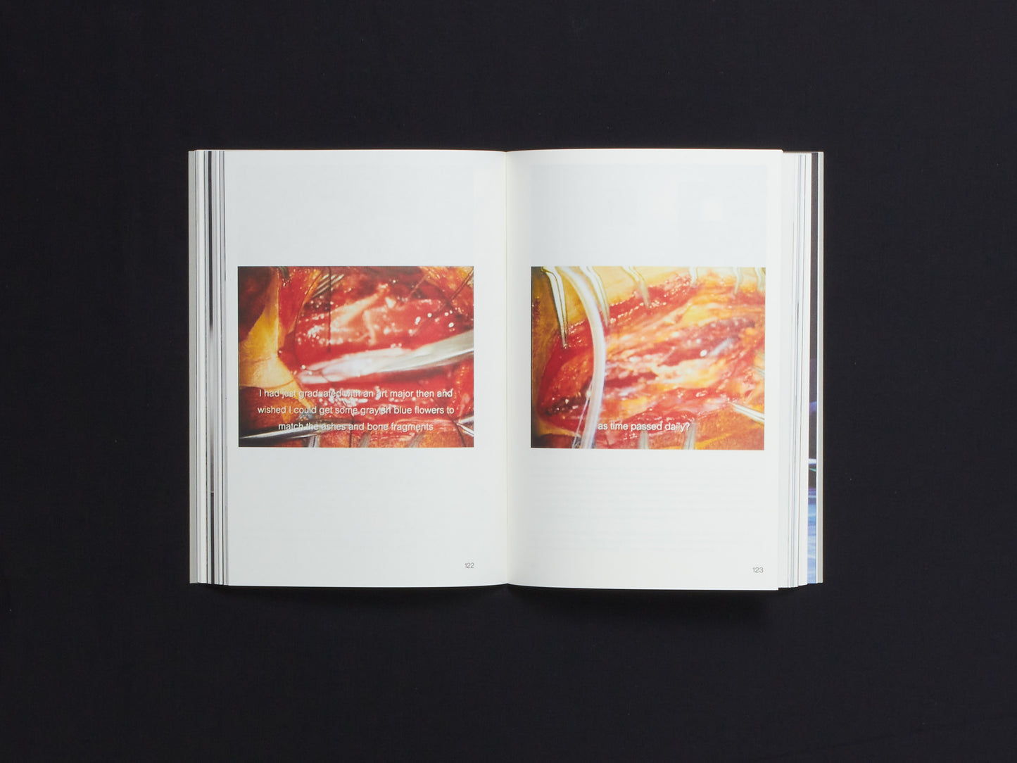 Araya Rasdjarmrearnsook: The Bouquet and the Wreath