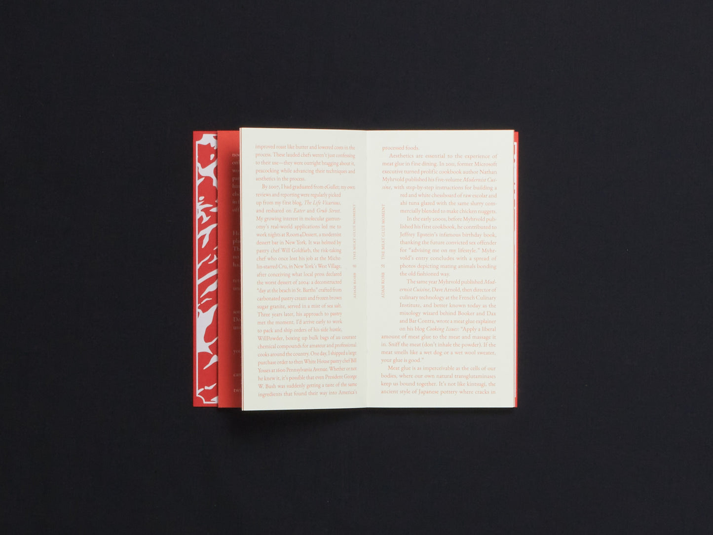 Steak Zine (Cake Zine, Special Issue)