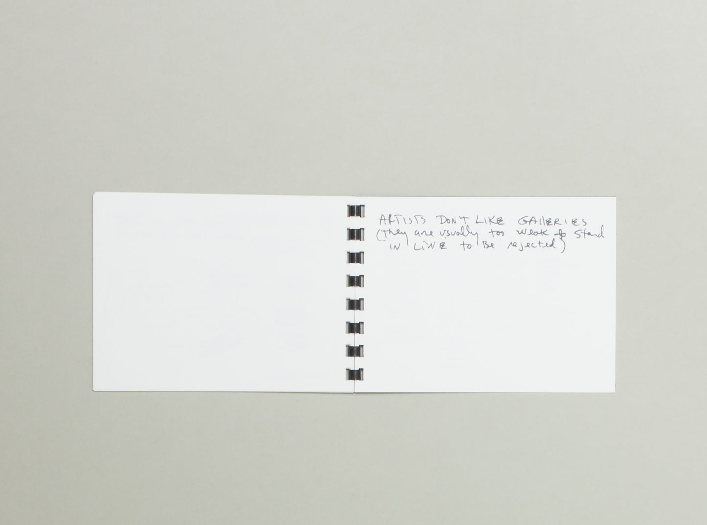 Beverly Buchanan, The Artist – A Visual Journey
