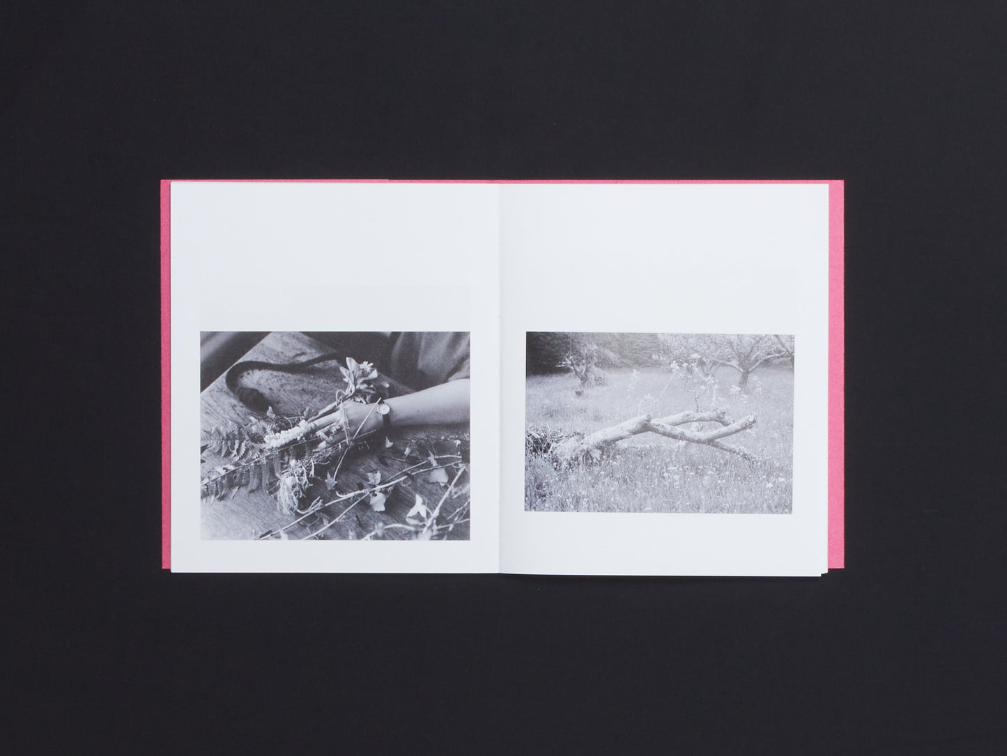 Suzie Howell, A Bowl of Tears to Drink
