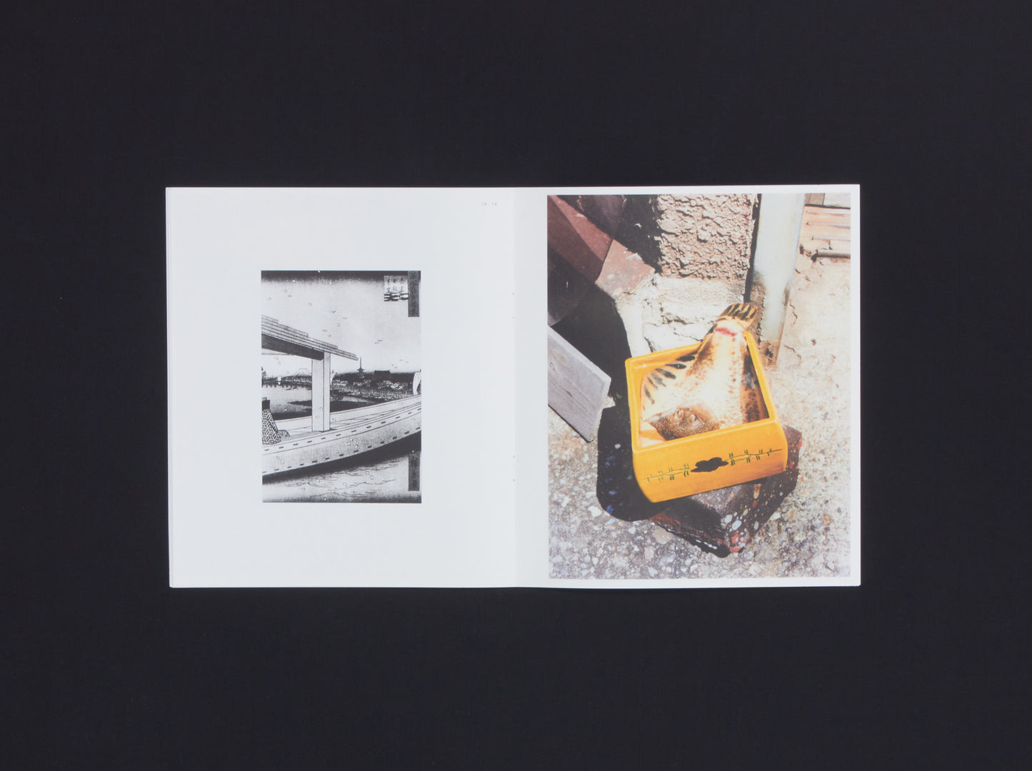 Naohiro Harada, Tokyo Fishgraphs II