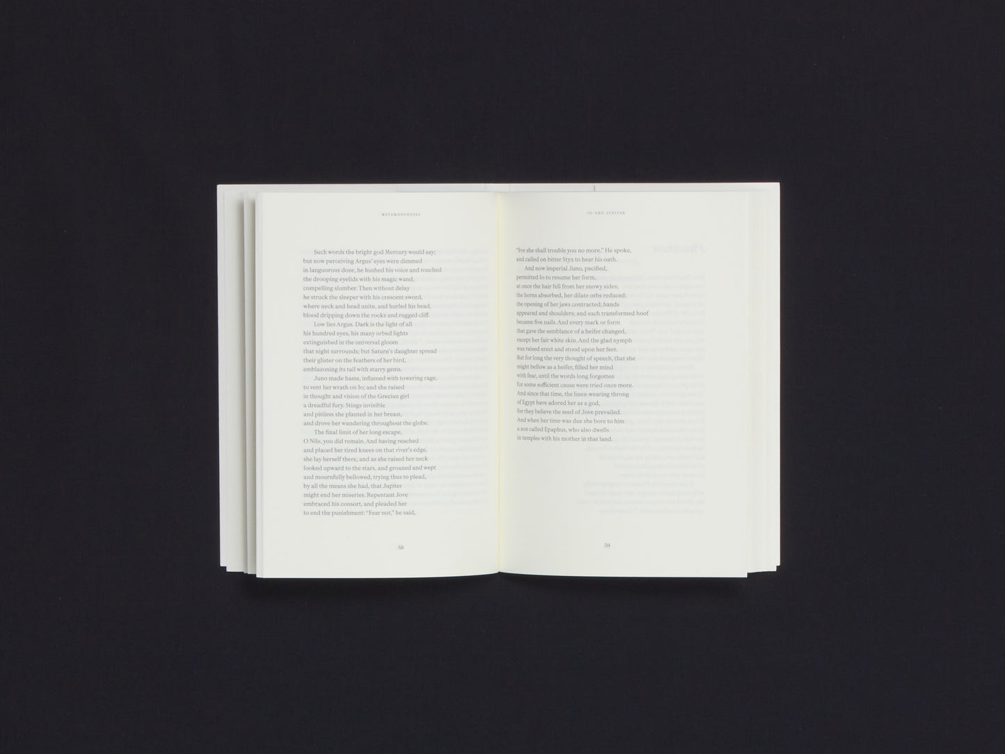 Metamorphoses - Elsa Rouy