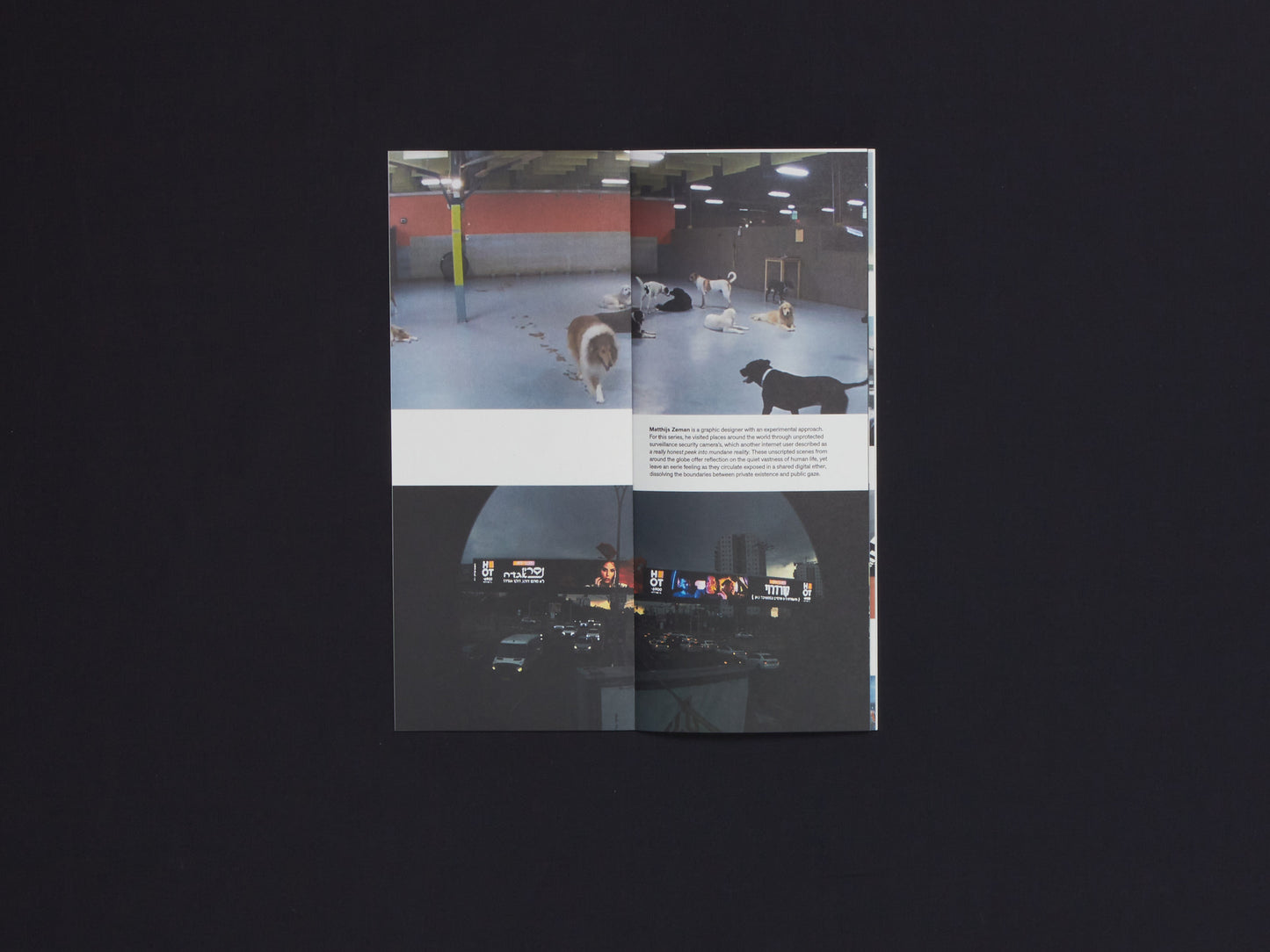 Simulacrum Issue 34#2: Motherboard
