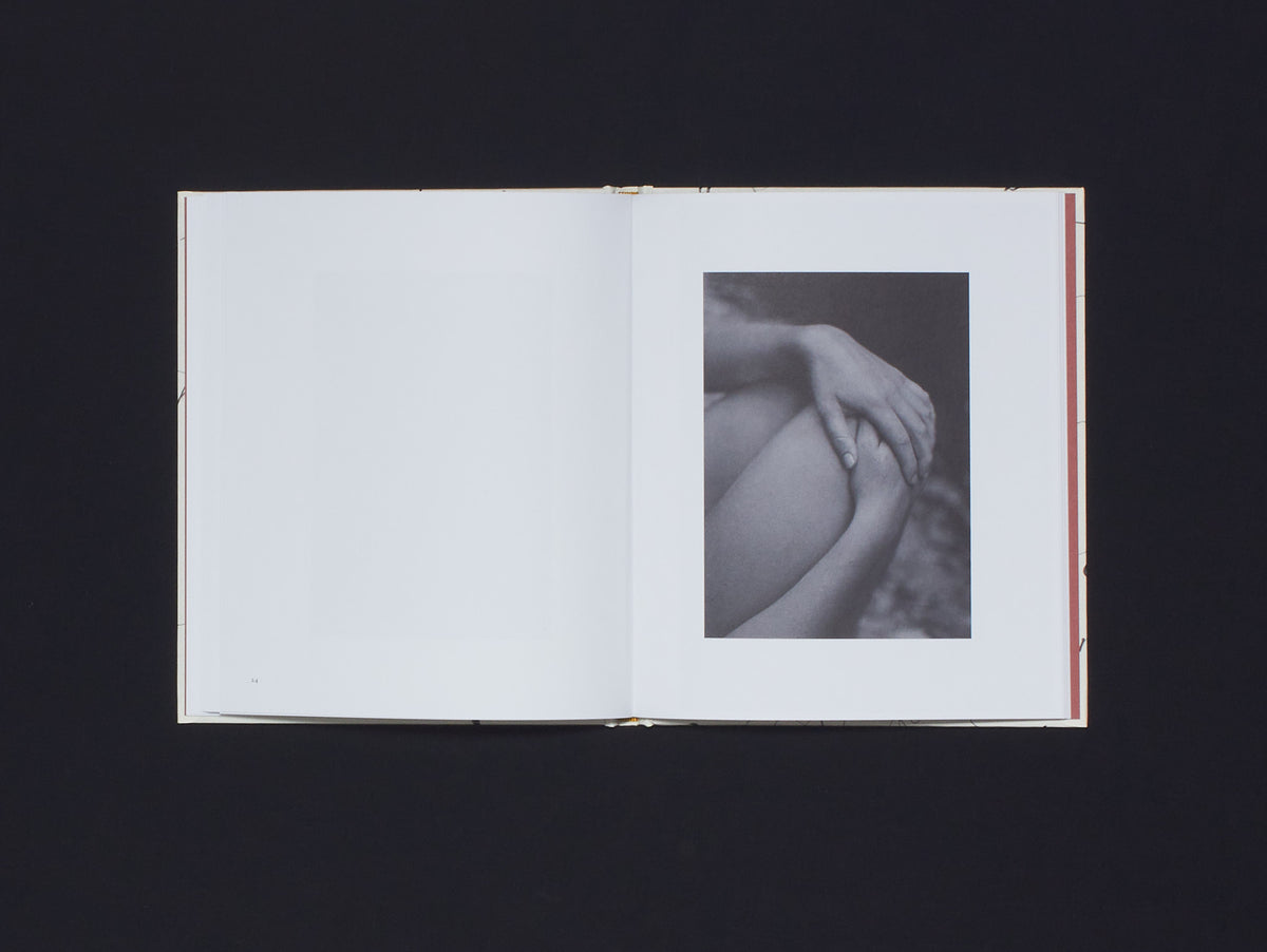 Shannon Cavarocchi, Song for the Siren