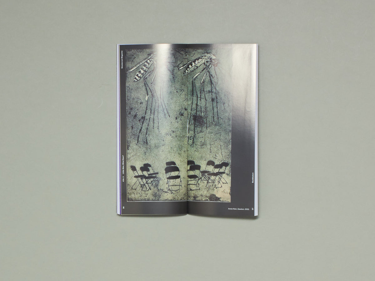 Simulacrum Magazine: Little man, what now?
