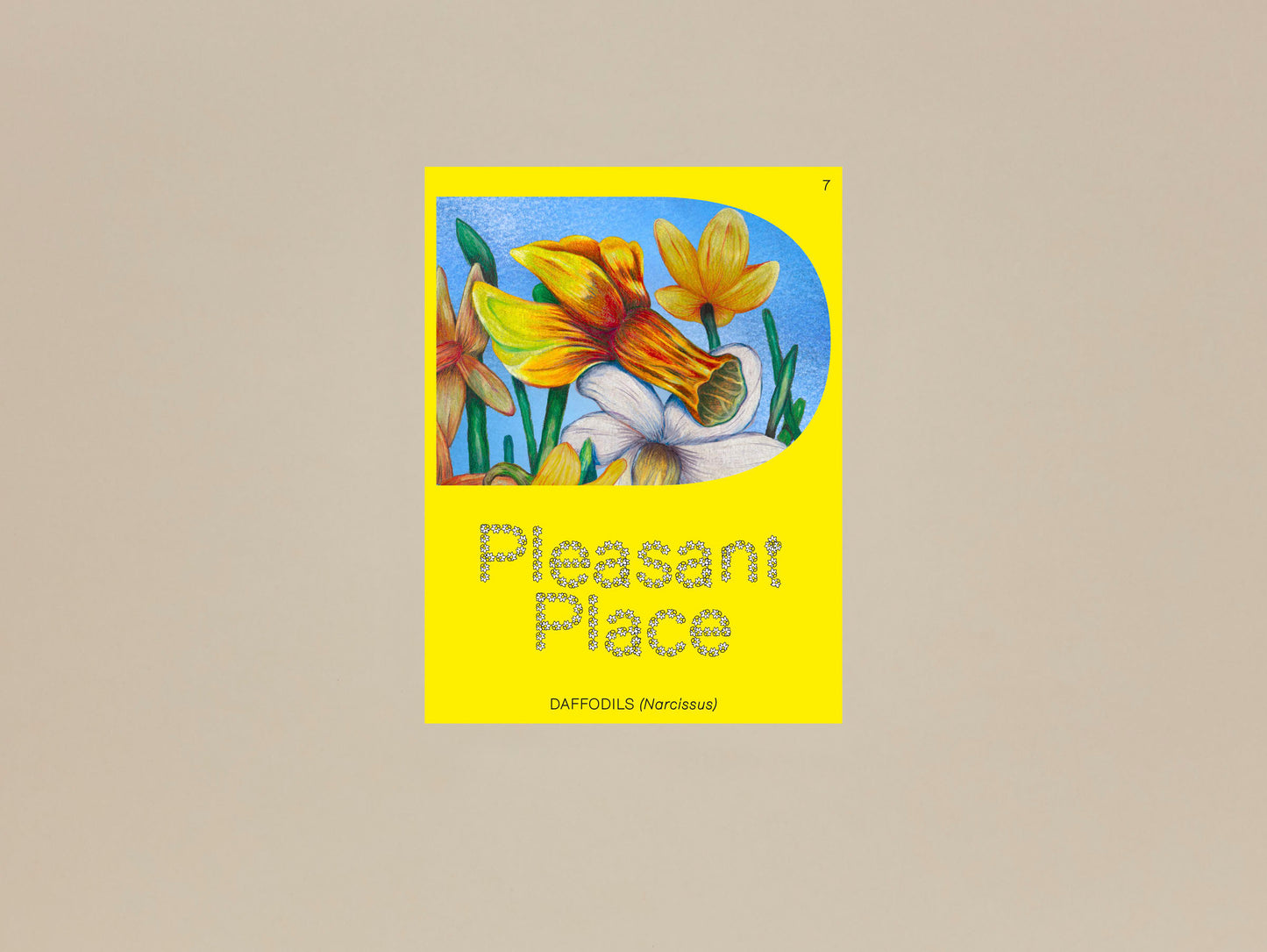Pleasant Place Issue 7: Daffodils