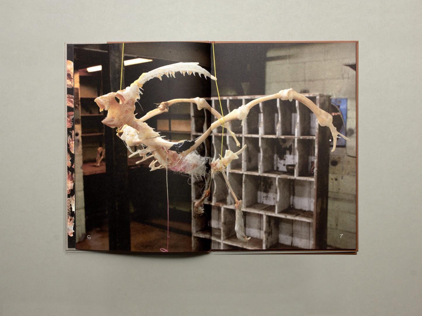 LPPL with Åbäke, Diplodoclus 2014–2021