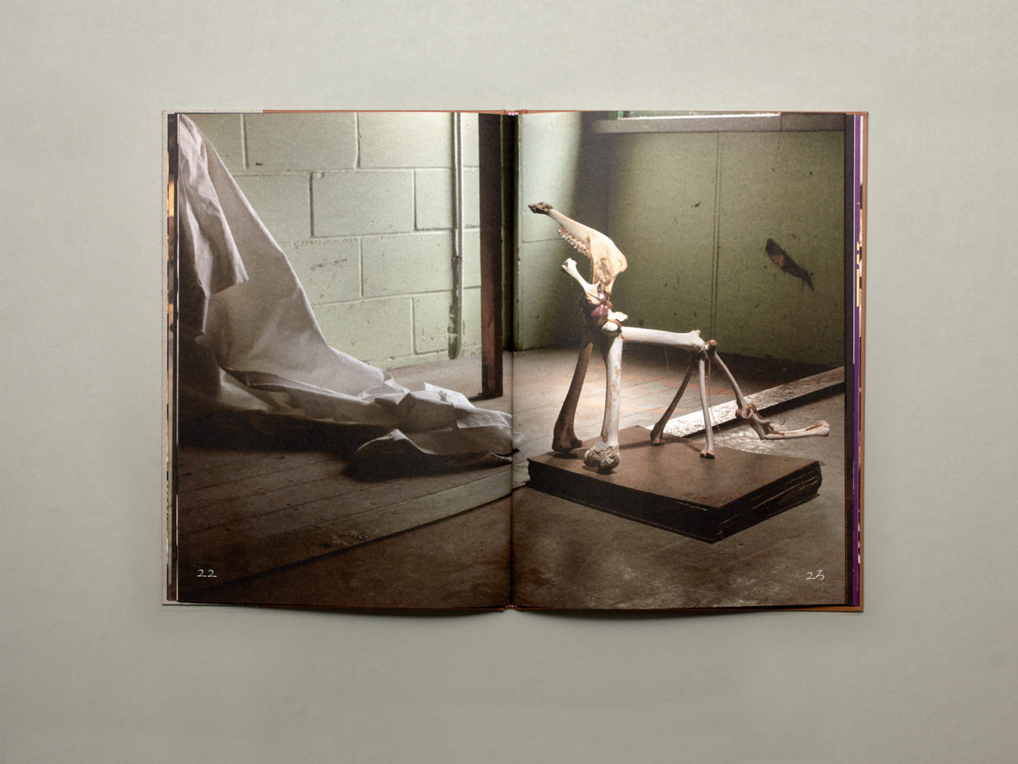 LPPL with Åbäke, Diplodoclus 2014–2021