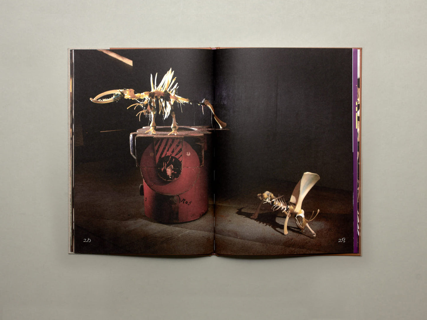 LPPL with Åbäke, Diplodoclus 2014–2021