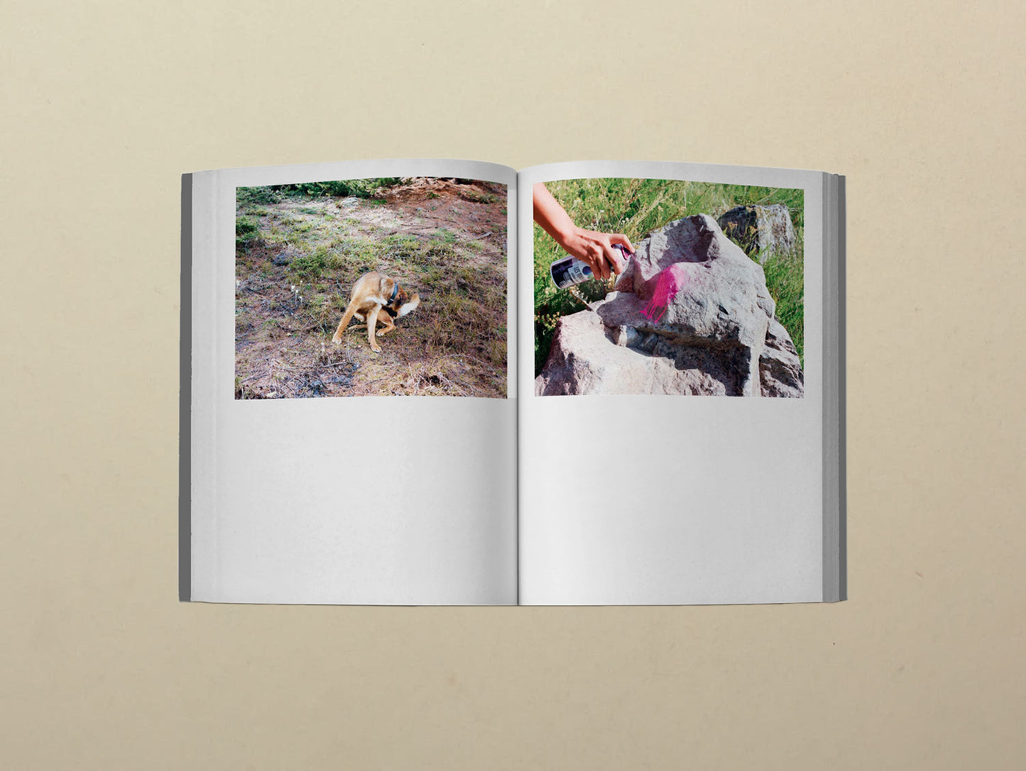 Samuel Gratacap, Bilateral