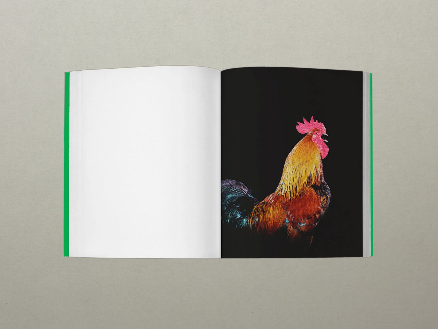 Louis Matton, Objets Autonomes