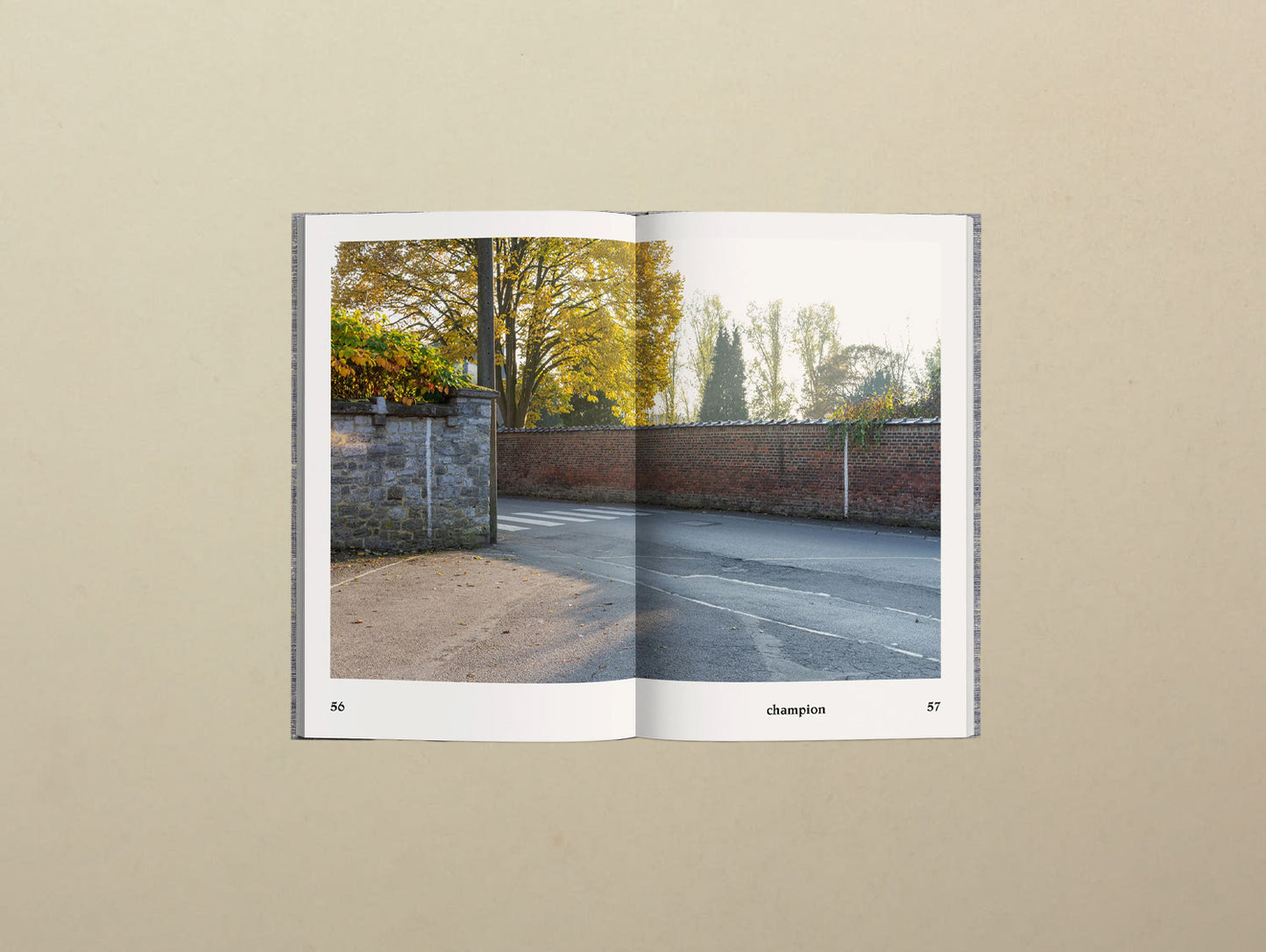 Andy Simon, Ballodromes