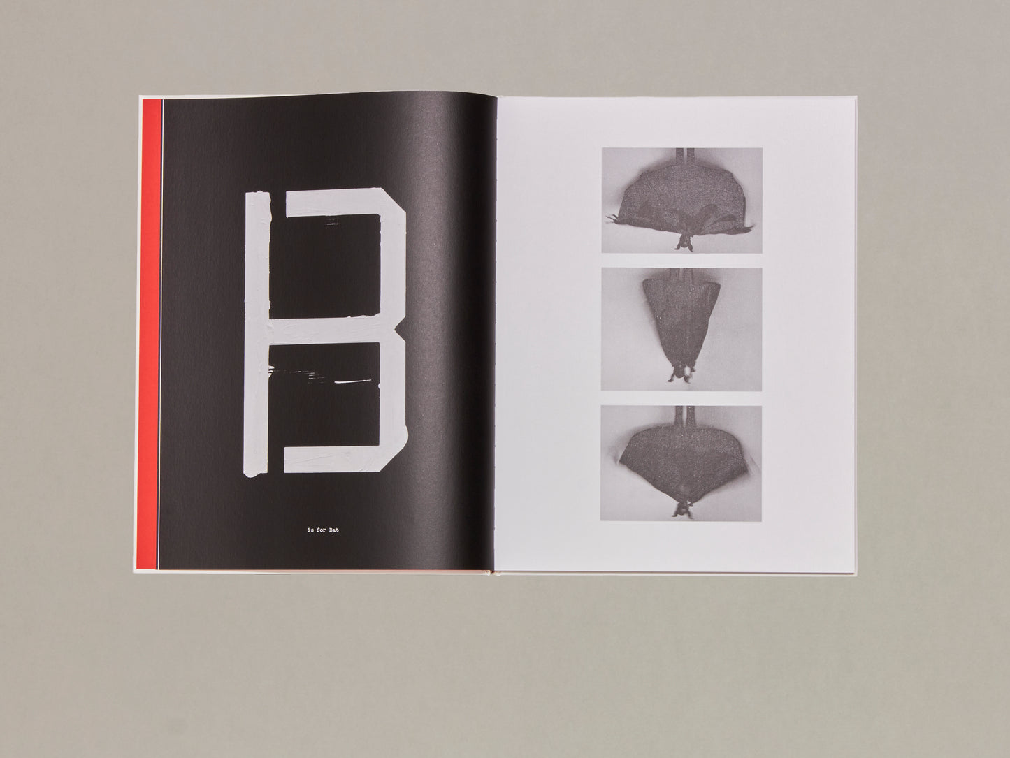 Jack Davison, A is for Ant