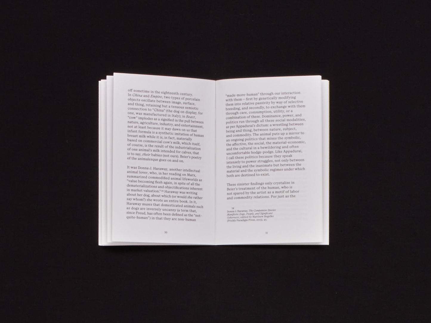 Jeppe Ugelvig, Commodity Ecumene: On the Art of Nina Beier