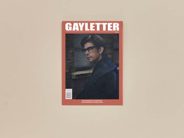 GAYLETTER, issue 20