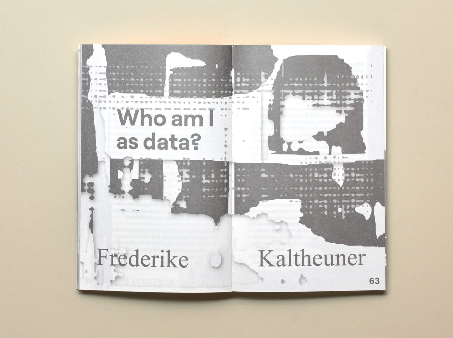 Frederike Kaltheuner, (ed.), Fake AI
