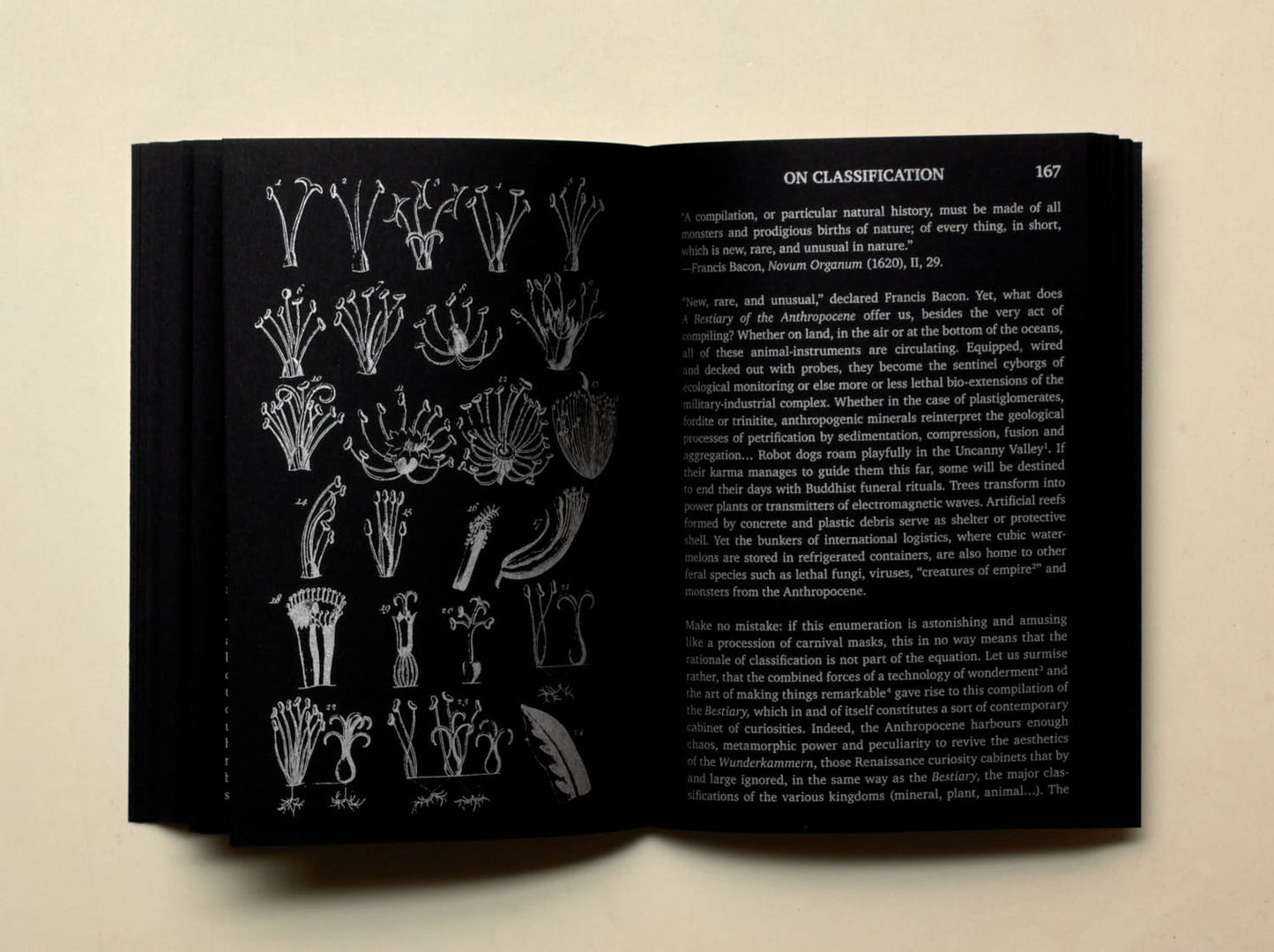 Maria Roszkowska,  A Bestiary of the Anthropocene Hybrid plants, animals, minerals, fungi, and other specimens