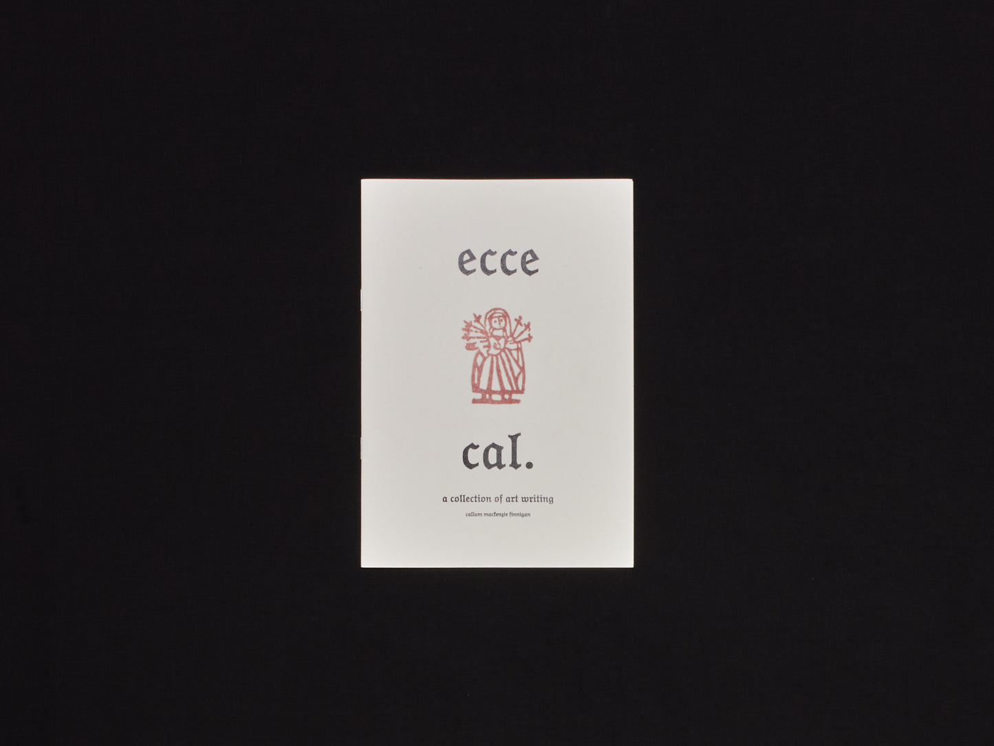 Callum MacKenzie Finnigan, Ecce Cal: a collection of art writing